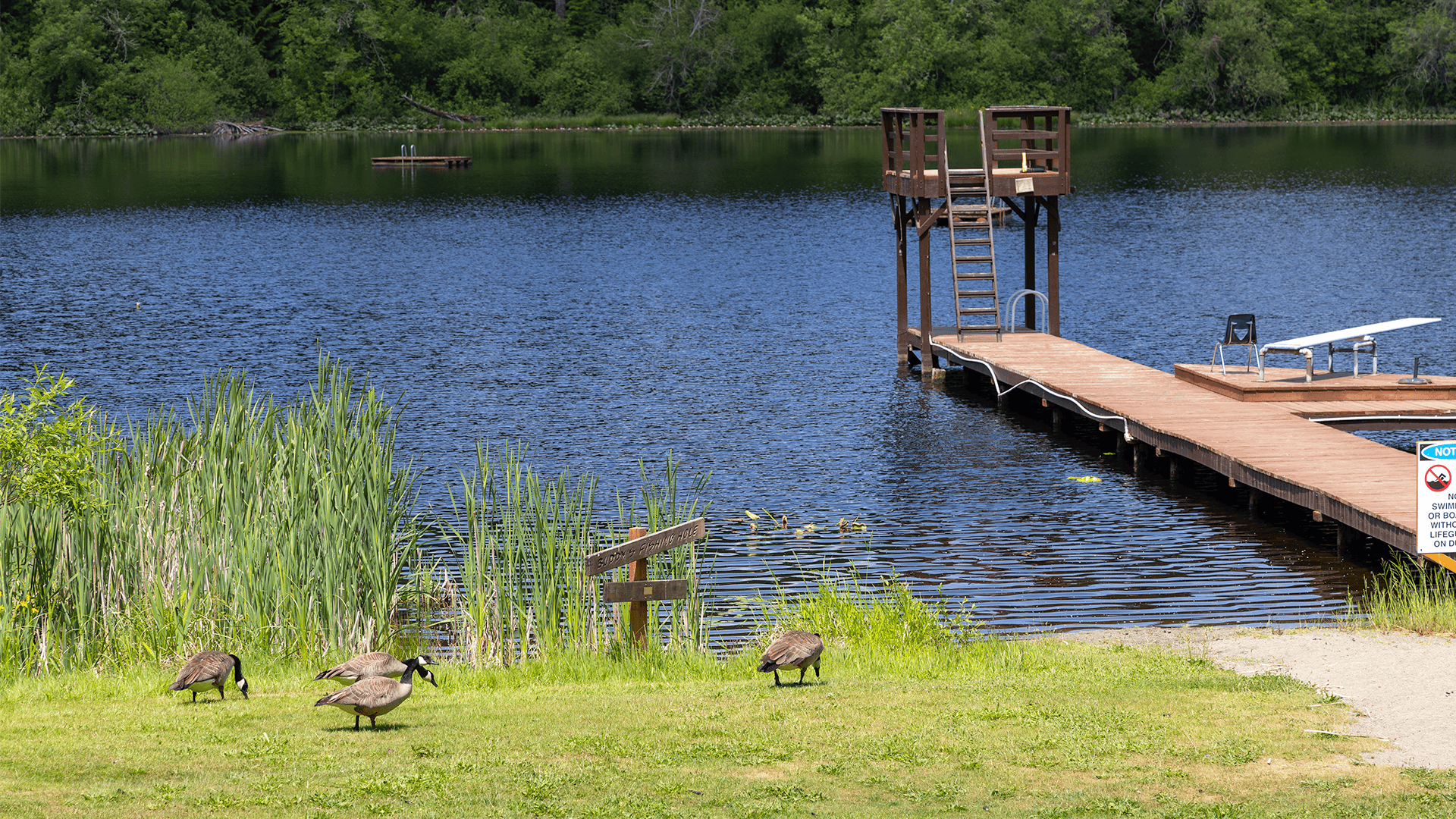 Camp Solomon Schechter
